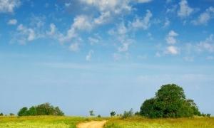 Верховна Рада продовжила мораторій на продаж землі до 2012 року
