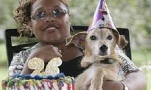 Найстаріший в світі пес святкує 26-річчя