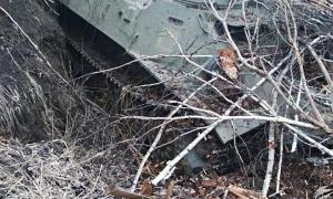 Українська армія нищить сили противника