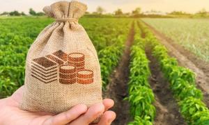 ПриватБанк розпочинає прийом заявок за новою державною програмою пільгового кредитування агробізнесу


