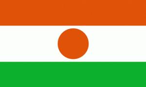 У Нігері військові здійснили державний переворот