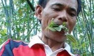 Уже два роки китаєць їсть лише листя і траву