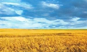 Опозиційним силам вдалось створити Комітет захисту України
