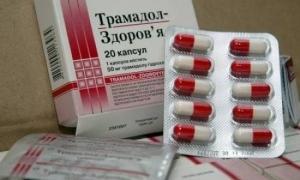 В Одеському порту знайшли півмільйона таблеток індійського «Трамадолу»