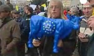 Європарламент в облозі стада корів: фермери протестують проти падіння цін на молоко