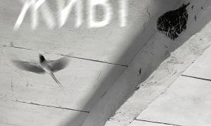 Український фільм про Голодомор став лауреатом Міжнародного кінофестивалю 