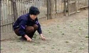 КНДР стоїть на межі голоду