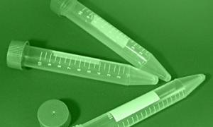 Відкрито антиоксидант, який зупиняє процес старіння