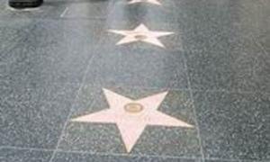 Стали відомі імена знаменитостей, які отримають зірки на Алеї слави у 2011