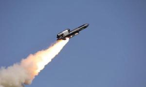 Усі випущені ракети "Фламінго" долетіли до Воткинського заводу в РФ 