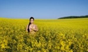 У Баварії випустили еротичний календар для популяризації фермерства