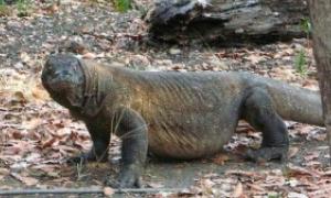 Китай відзначає День зла 