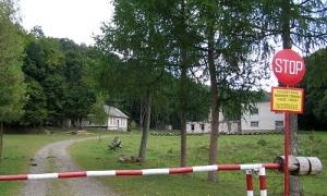 На Івано-Франківщині заборонили їздити в ліс на машинах
