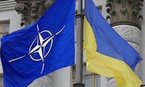НАТО не захищатиме територіальну цілісність України