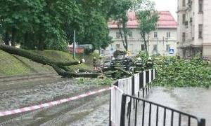 У Львові через негоду травмувалися люди та зупинився рух транспорту