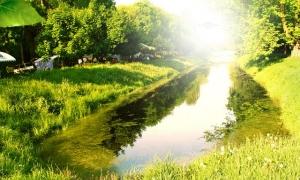 Земля Луцька піде з аукціону