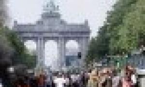 Фермери приїхали тракторами до Єврокомісії 