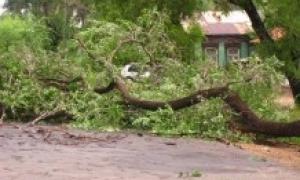 На Грузію обрушився потужний буревій
