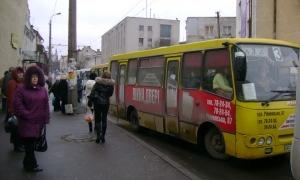 Ще одну ведмежу послугу лучани отримали від Богдана Шиби