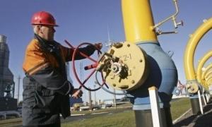 Віктор Янукович запропонує «Газпрому» і Європі по 30% ГТС
