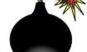 У Житомирі 6-річний хлопчик 