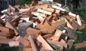 Житомирські вчені навчилися їздити на дровах