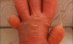 Американський фермер виростив чудернацькі овочі