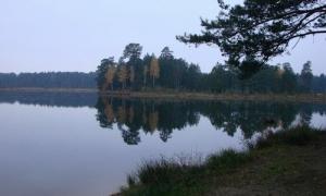 З’явились результати моніторингу водойм Волинської  області