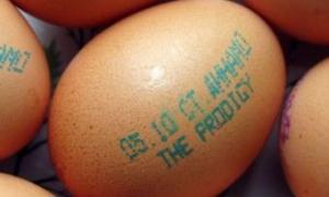 Концерт The Prodigy в Мінську рекламують на яйцях