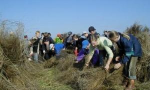 Де можна підзаробити під час канікул