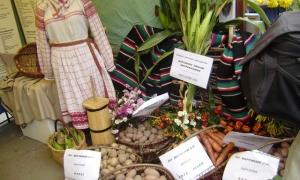 У Луцьку відбулась міжнародна виставка «Агро-2009» 