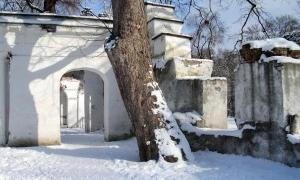 Київська мерія планує об'єднати вісім парків