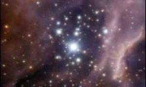 Вчені вперше відзняли 