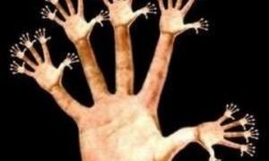 Нові антикорупційні закони спрямовані на пересічних українців