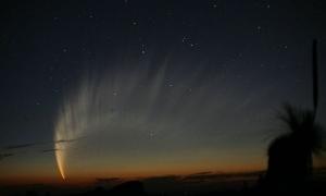 Найбільшою серед комет вчені вважають комету МакНота