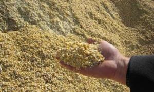 Україна може ввести обмеження на експорт зерна цього тижня