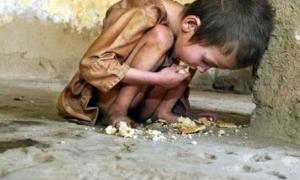 ООН стверджує: до 2050 року виробництво продовольства необхідно збільшити на 70%