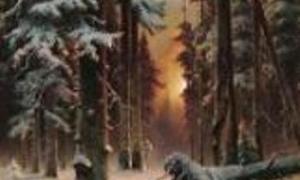 Відкрилася виставка „Волинський ліс очима художників”