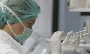 Канадську вакцину проти СНІДу успішно випробували на тваринах 