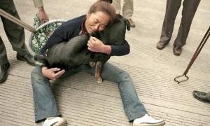 Китайців за поїдання кішок і собак штрафуватимуть на 735 доларів