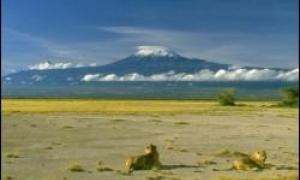 Вперше за 100 років відбудеться виверження вулкана Кіліманджаро