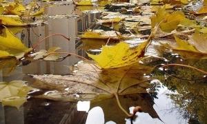 Погода в Україні на п'ятницю, 16 жовтня