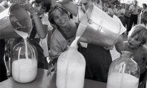 Українське молоко питимуть в Європі?