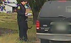 Кішка рятувала господаря від штрафу