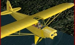 У США бомж викрав літак