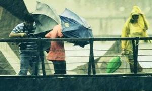 У Китаї під ударами тайфуну загинули 54 людини