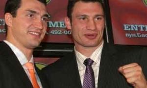 Брати Клички найближчим часом не будуть битися в Україні