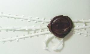 Лист солдата Другої світової війни прийшов із 