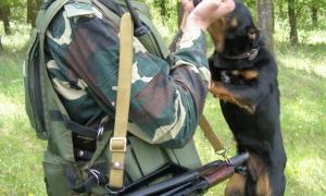 Пес Жорик наркотиків ще не виявляв