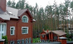 Будинки у Конча-Заспі та Криму Микола Азаров у декларації не вказує